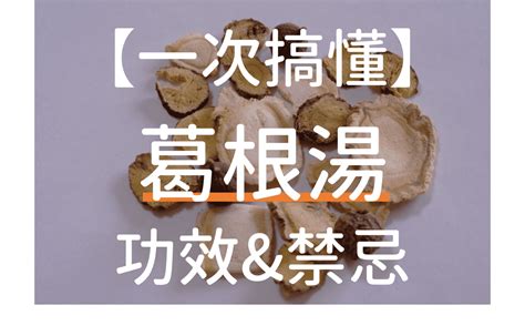 葛根湯加小青龍湯|葛根湯的解釋與臨床應用